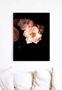 Blush • Nº 2 Florescence Collection • Peony Flower Fine Art Photography