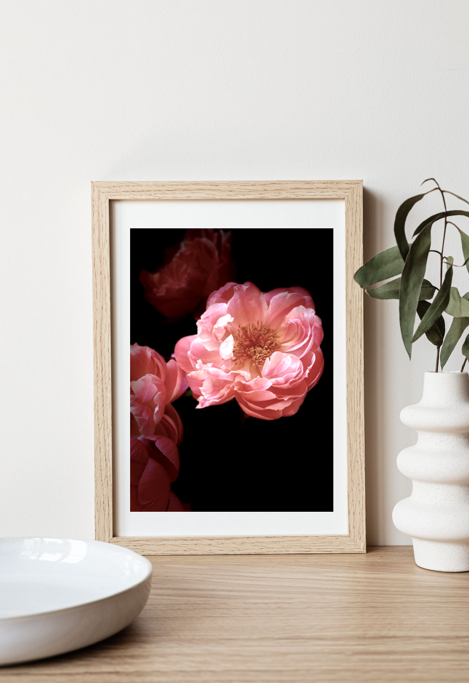 Fleur • Nº 3 Florescence Collection • Peony Flower Fine Art Photography