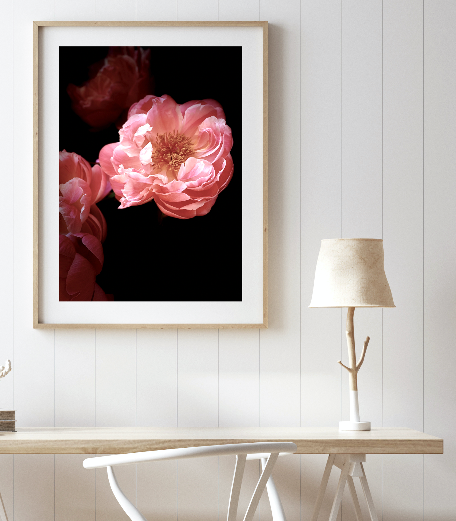 Fleur • Nº 3 Florescence Collection • Peony Flower Fine Art Photography