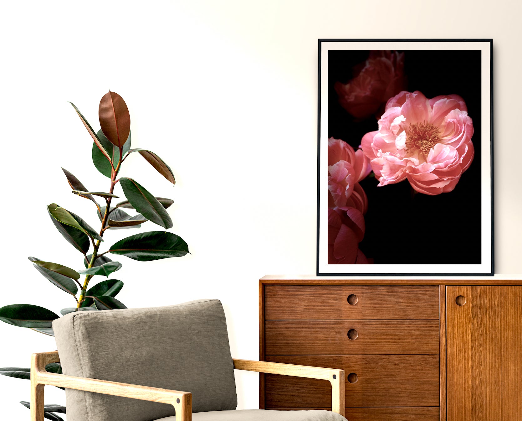 Fleur • Nº 3 Florescence Collection • Peony Flower Fine Art Photography