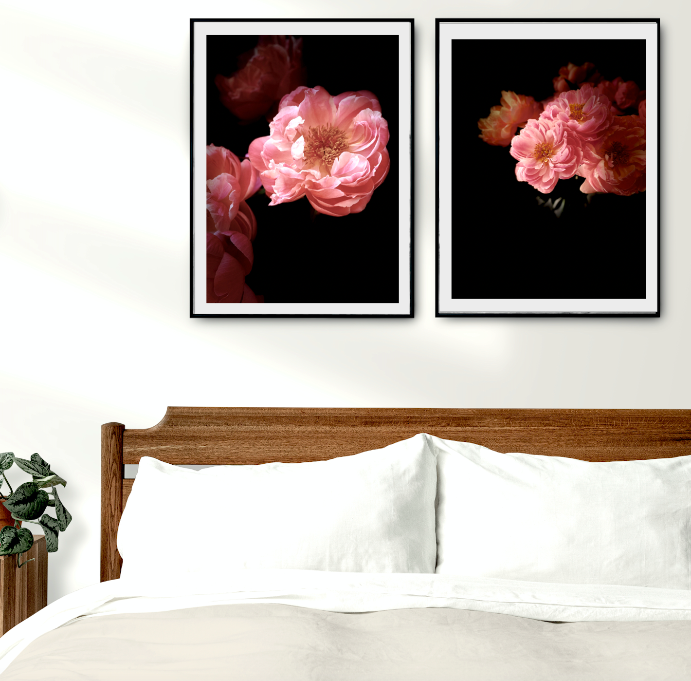 Fleur • Nº 3 Florescence Collection • Peony Flower Fine Art Photography