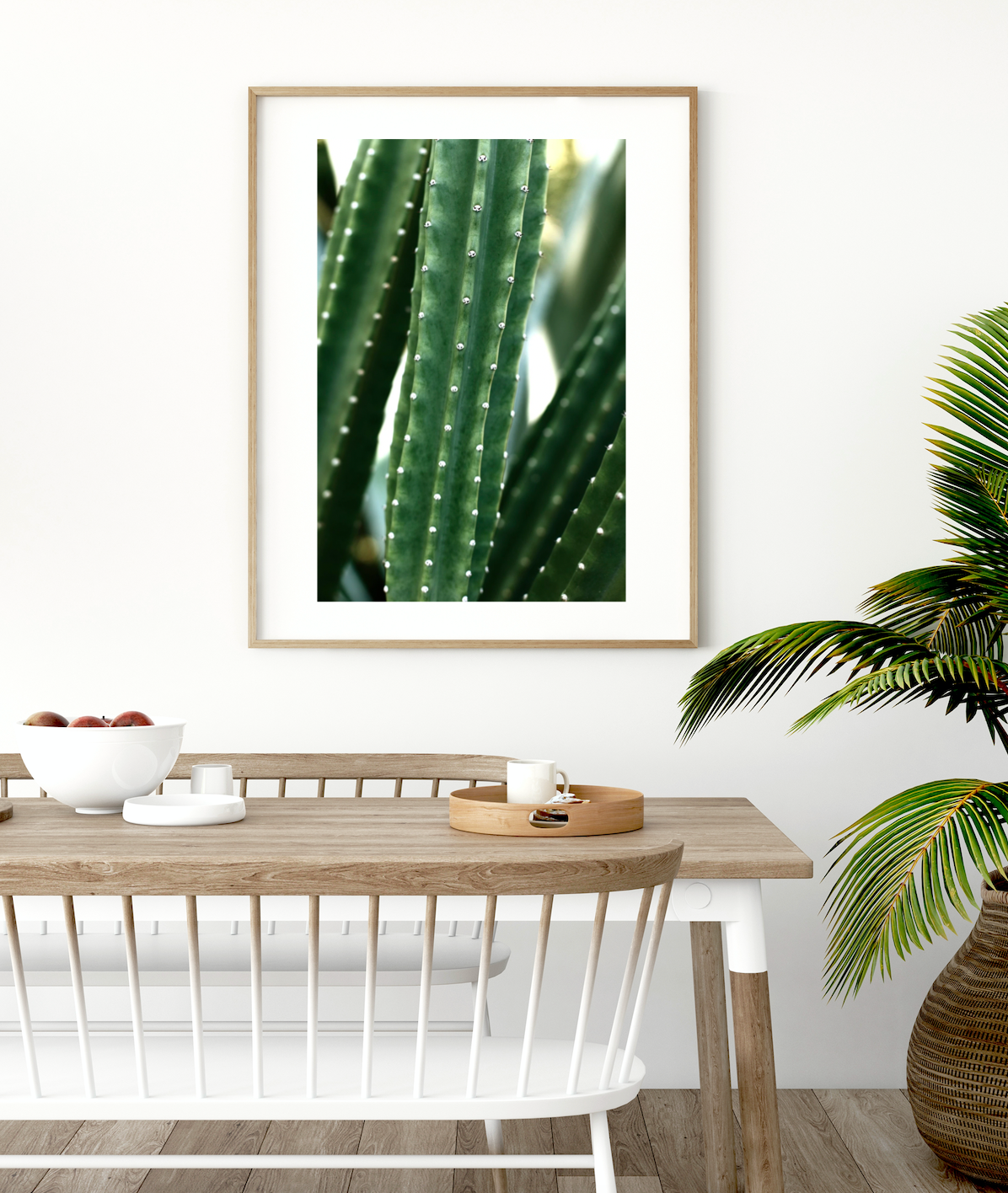 San Pedro Cactus • Fine Photography Print