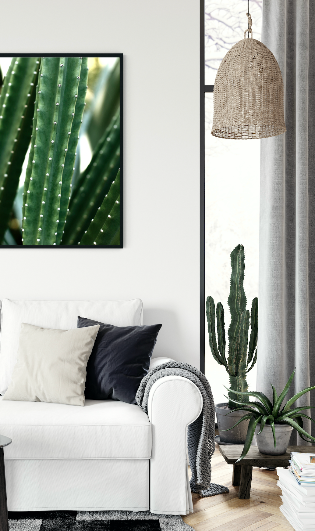 San Pedro Cactus • Fine Photography Print