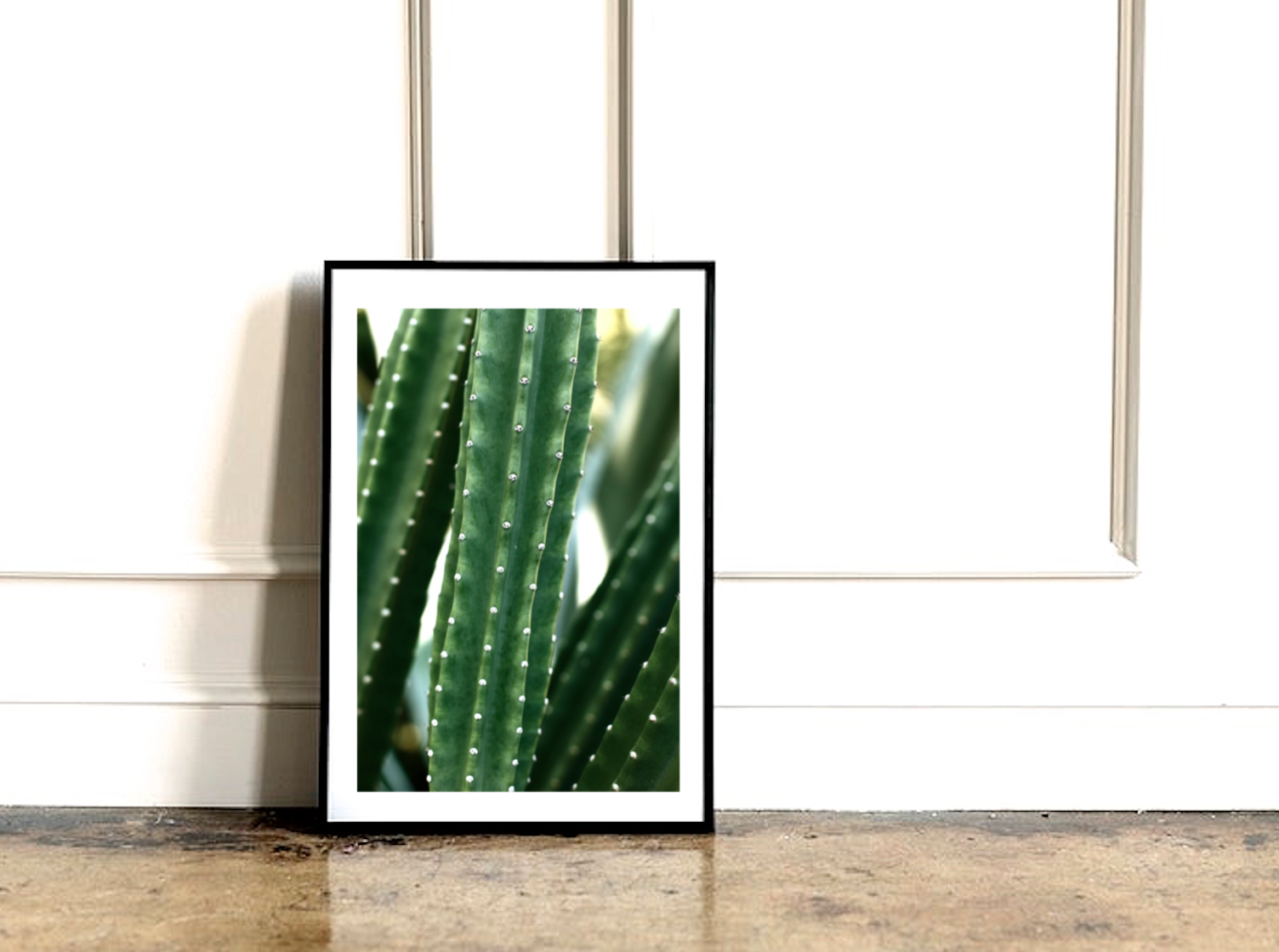 San Pedro Cactus • Fine Photography Print