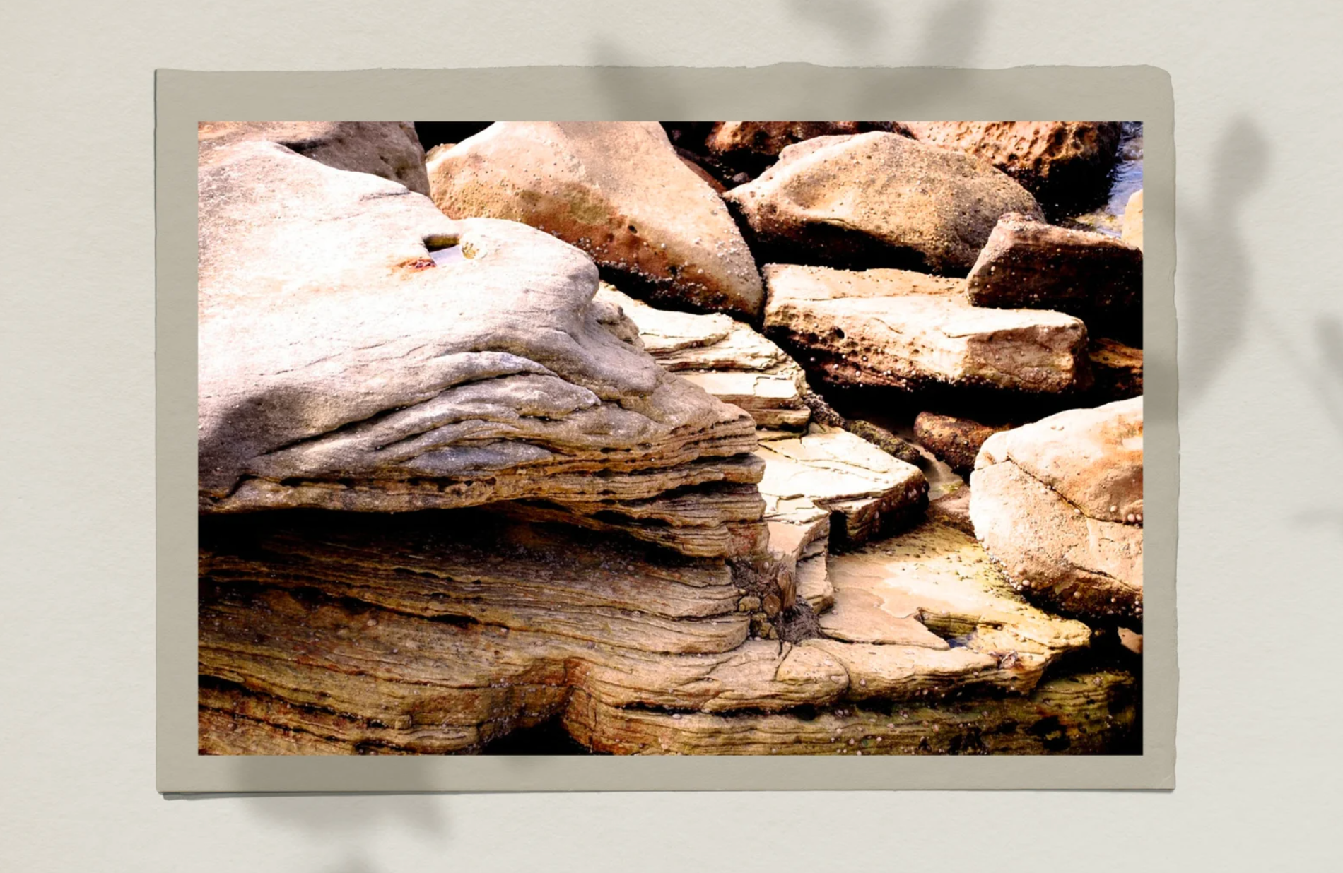 Bronte Rock Pools • Bronte Beach Sydney Photography Print