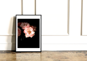 Florescence Collection • Set of Six Peony Flower Fine Art Photography Prints