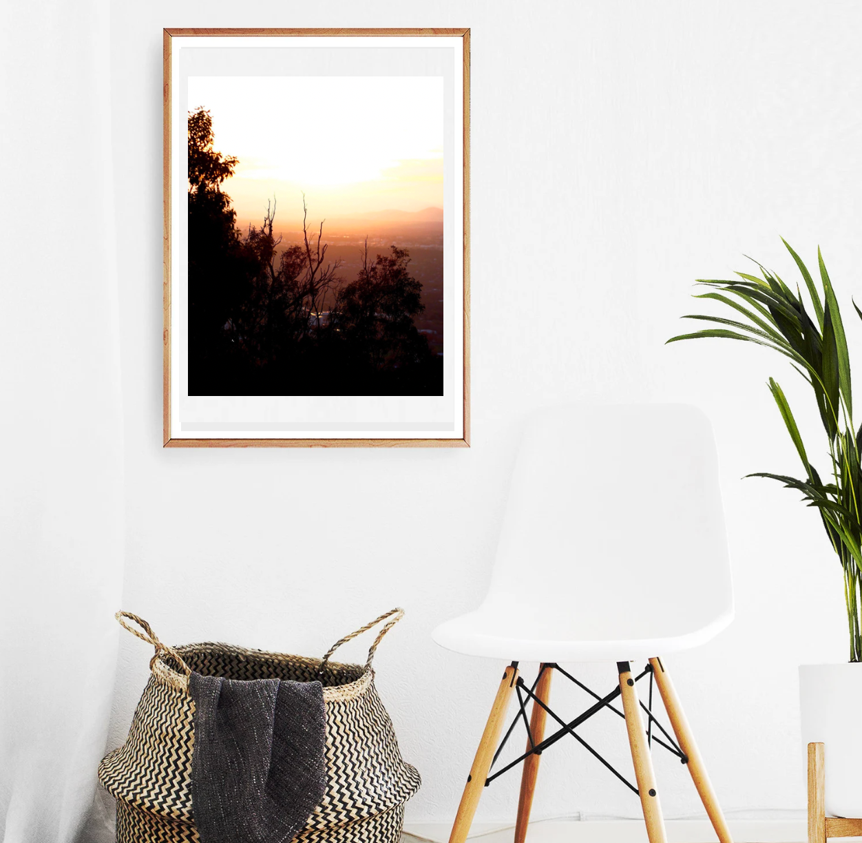 Sunset Over Canberra • Mt Ainslie Gum Tree Bushland Fine Photography Print