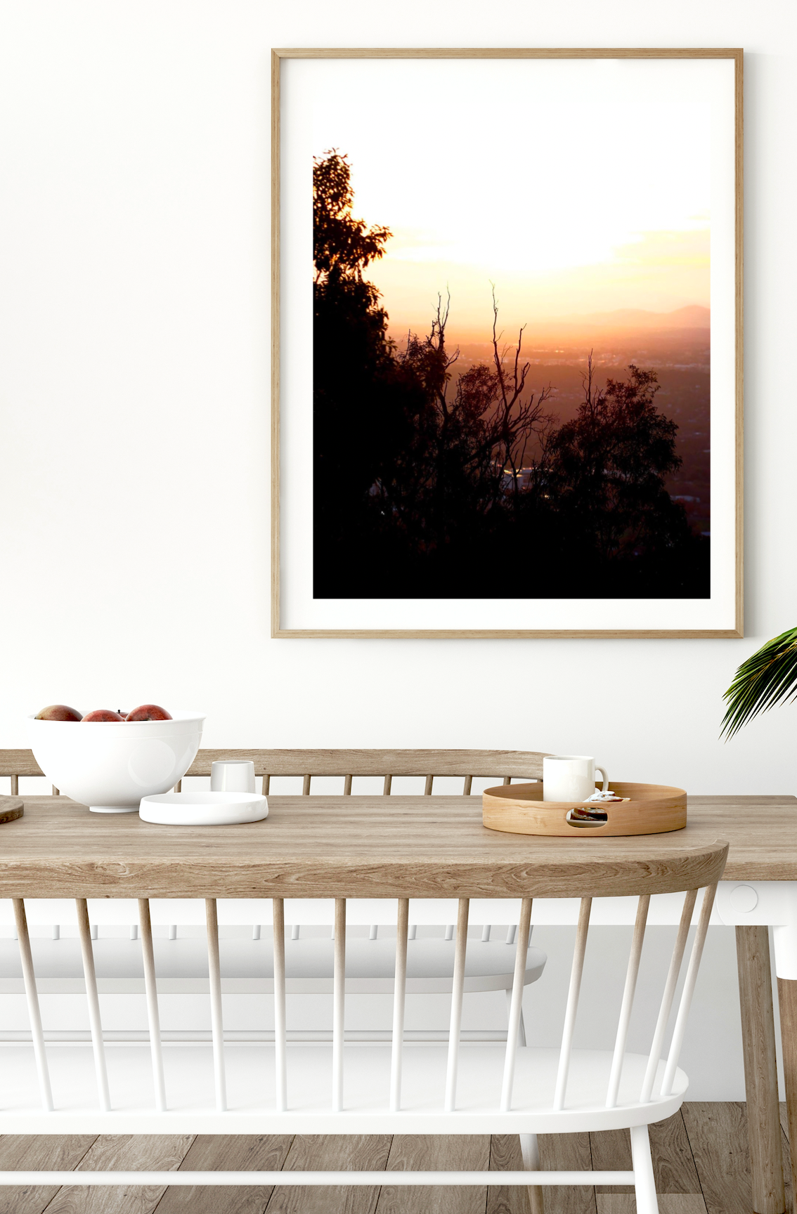 Sunset Over Canberra • Mt Ainslie Gum Tree Bushland Fine Photography Print