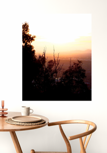 Sunset Over Canberra • Mt Ainslie Gum Tree Bushland Fine Photography Print