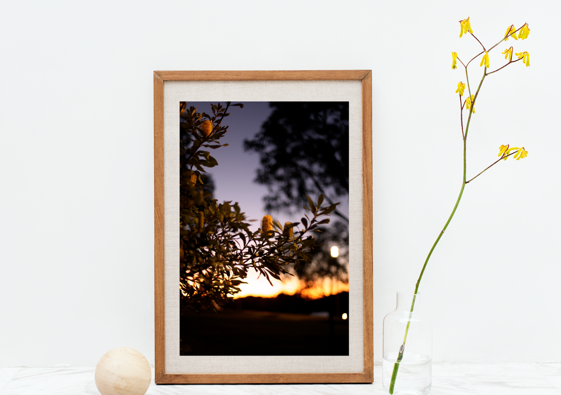Barangaroo Sydney Sunset • Fine Photography Print • Coastal Banksia Botanical