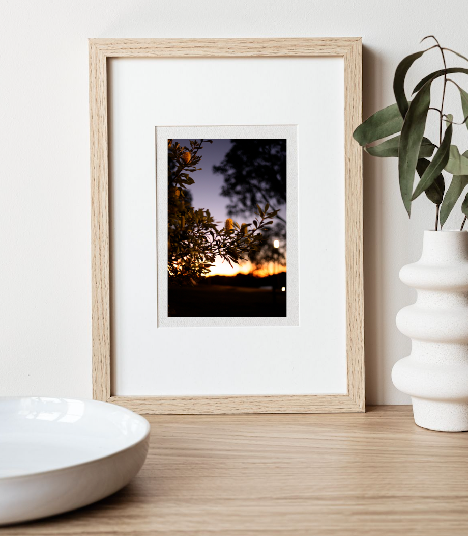 Barangaroo Sydney Sunset • Fine Photography Print • Coastal Banksia Botanical
