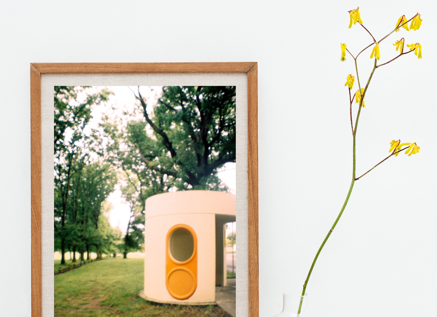 Little Canberra Bus Shelter • Retro 35mm Film Photography Print Artwork