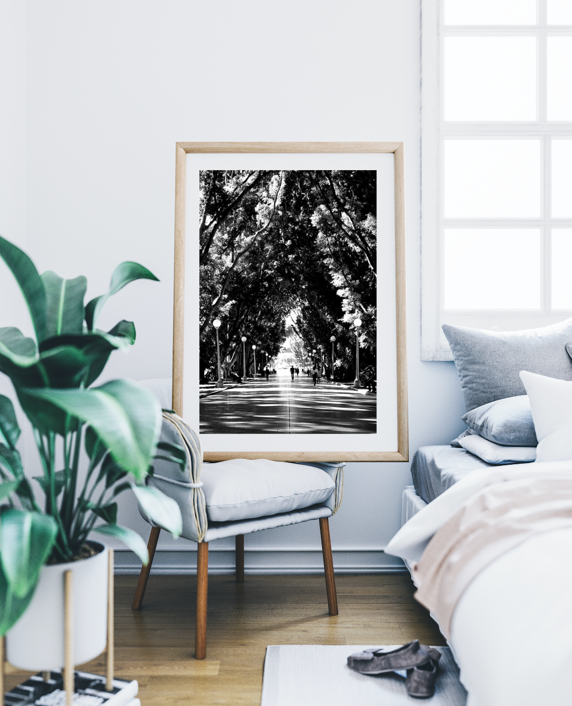 Hyde Park Sydney Stroll • Black & White Print