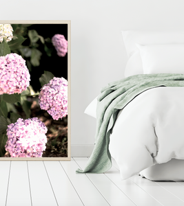 Blush Pink Hydrangea • Fine Photography Print