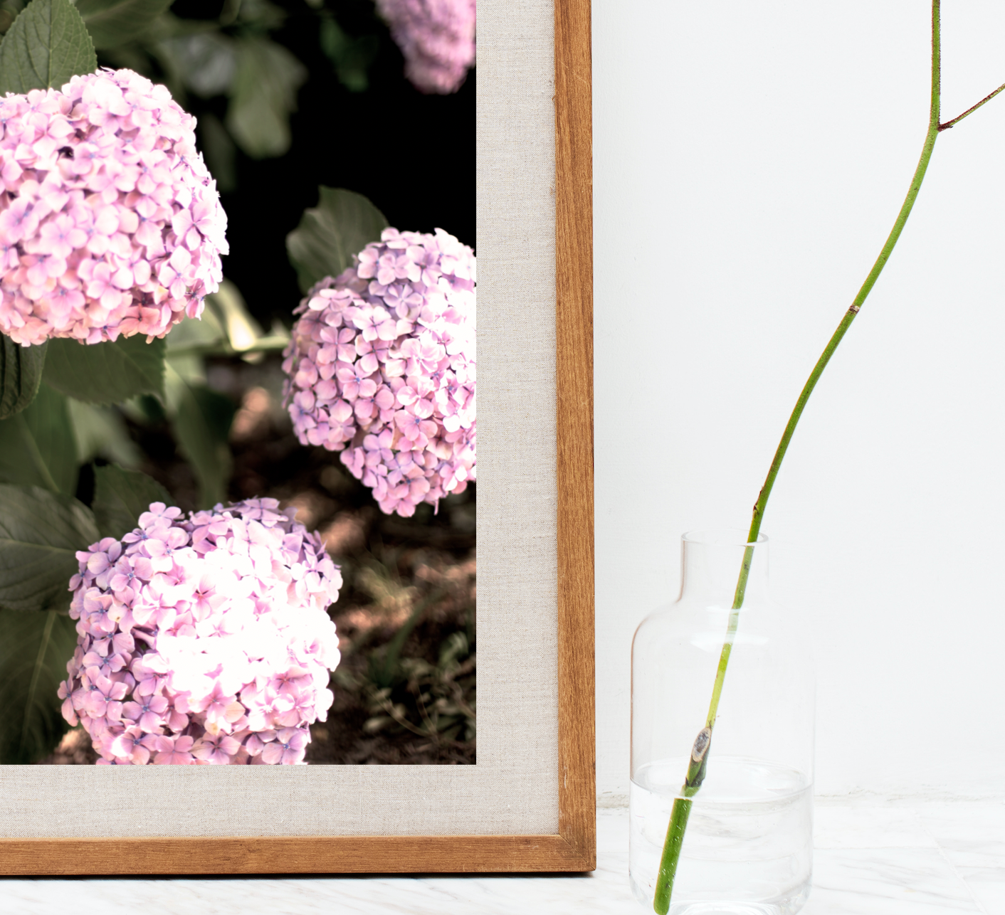 Blush Pink Hydrangea • Fine Photography Print
