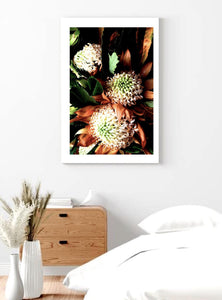 Telopea Waratahs • Canberra Flower Australian Native Botanical Photography Print