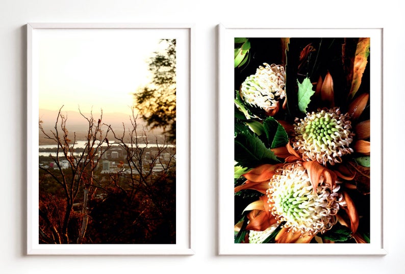 Sunset Over Canberra • Set of Two Australian Native Bush Flower Photography Prints