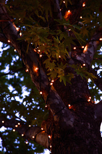 Canberra Twilight Streetlamp Stroll • Set of Three Photography Prints