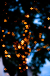 Canberra Twilight Streetlamp Stroll • Set of Three Photography Prints