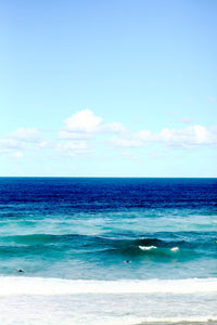 Surfing in the Bronte Swell • Bronte Beach Sydney Photography Print