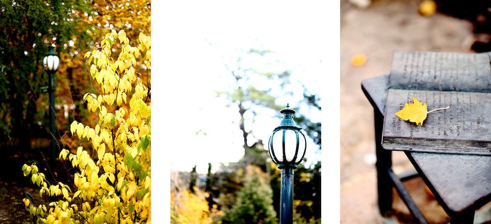 Autumn Story -  Hepburn Mineral Springs - Set of Three Fine Art Prints