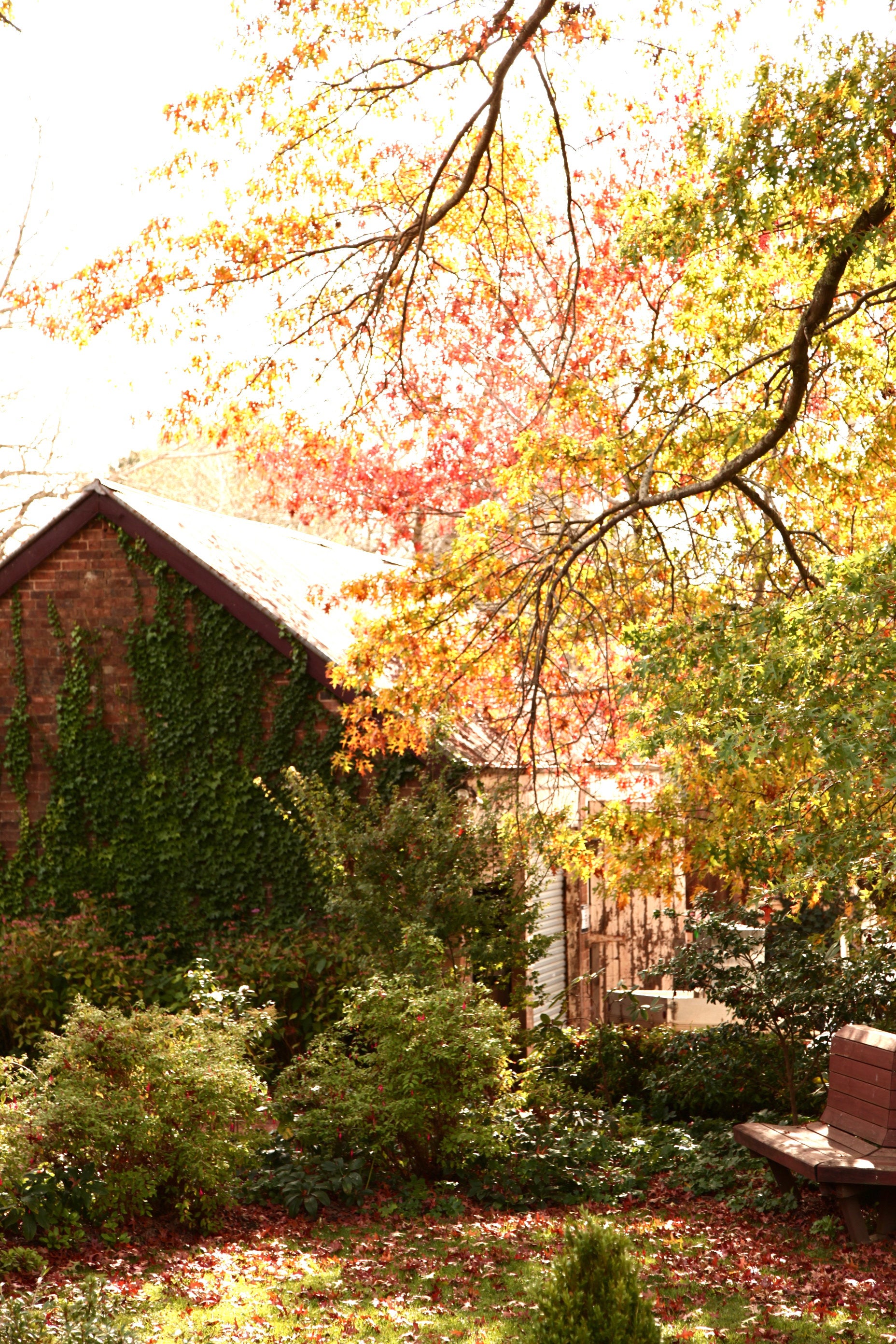 Beyond the Barn • Sutton Forest Southern Highlands • Set of 3 Photography Prints