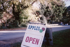 Pialligo Apple Orchard • Original 35mm Film Photography Print