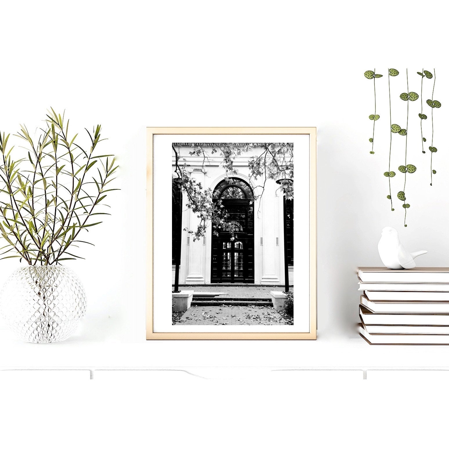 The Arch of Albert Hall • Black & White Canberra Photography Print