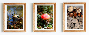 Lake Daylesford Autumn Days • Set of Three Photography Prints