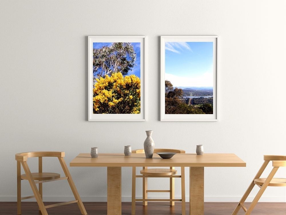 On Mt Ainslie • Golden Wattle • Set of Two Canberra Fine Photography Prints