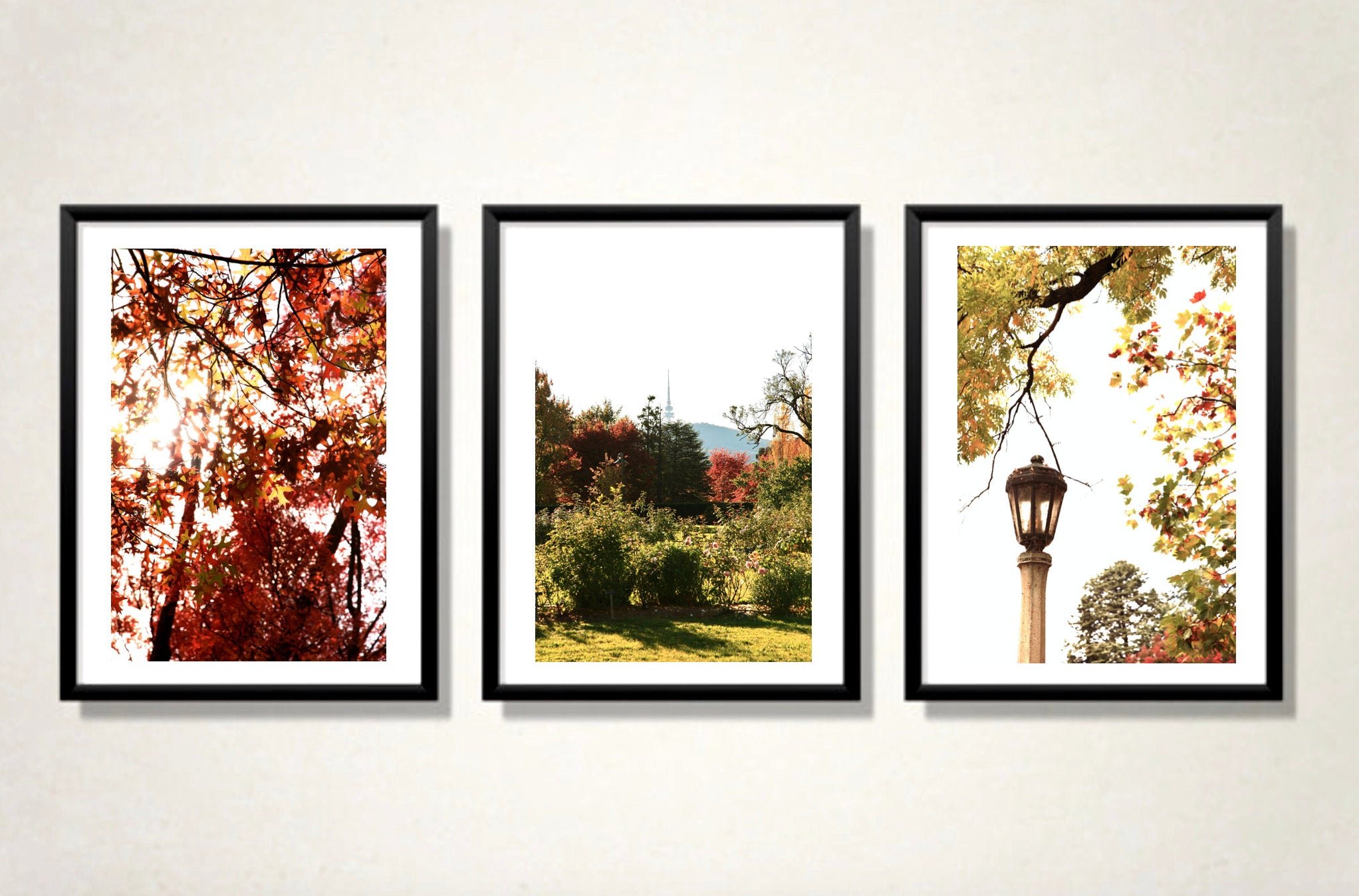 Autumn in the Capital • Set of Three Photography Prints