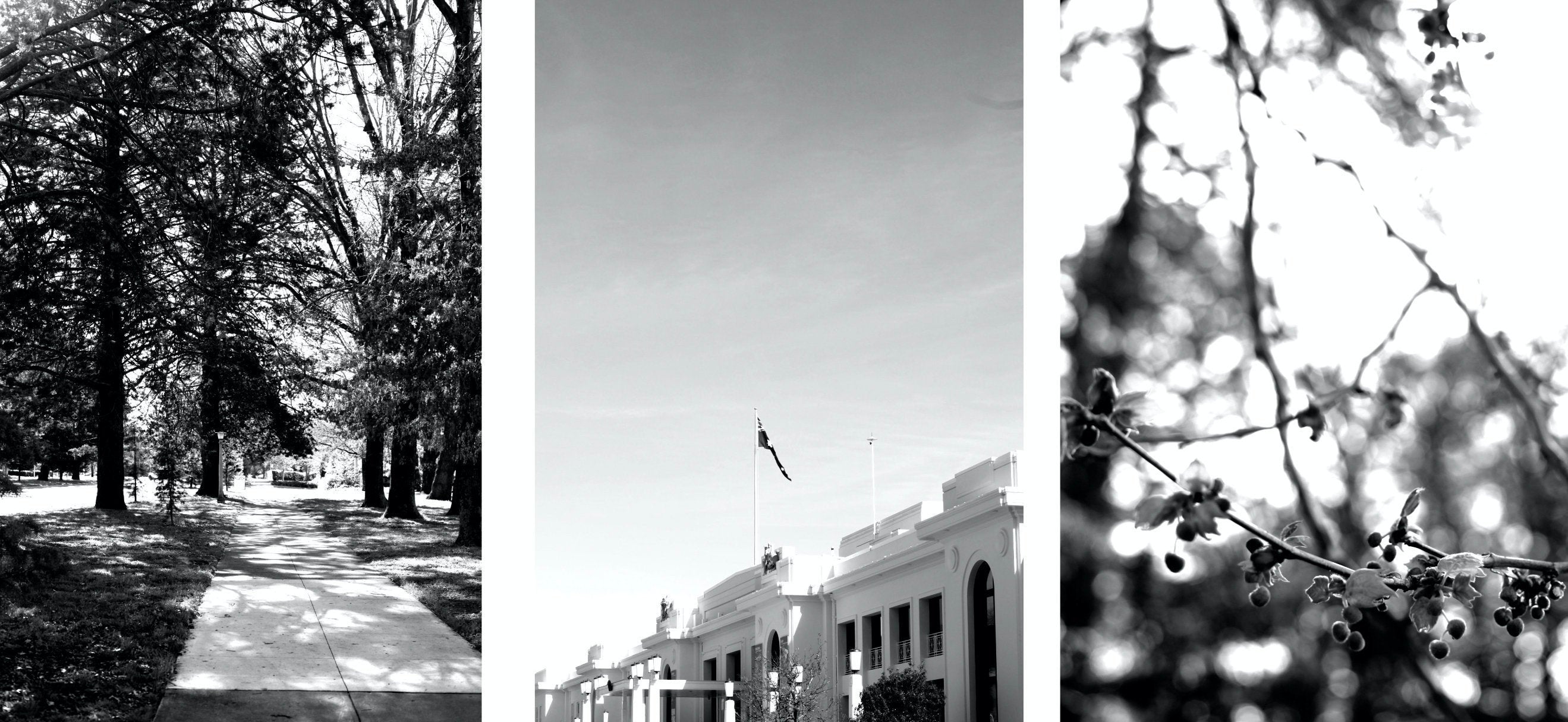 The Walk to Old Parliament House • Set of Three Black & White Photography Prints