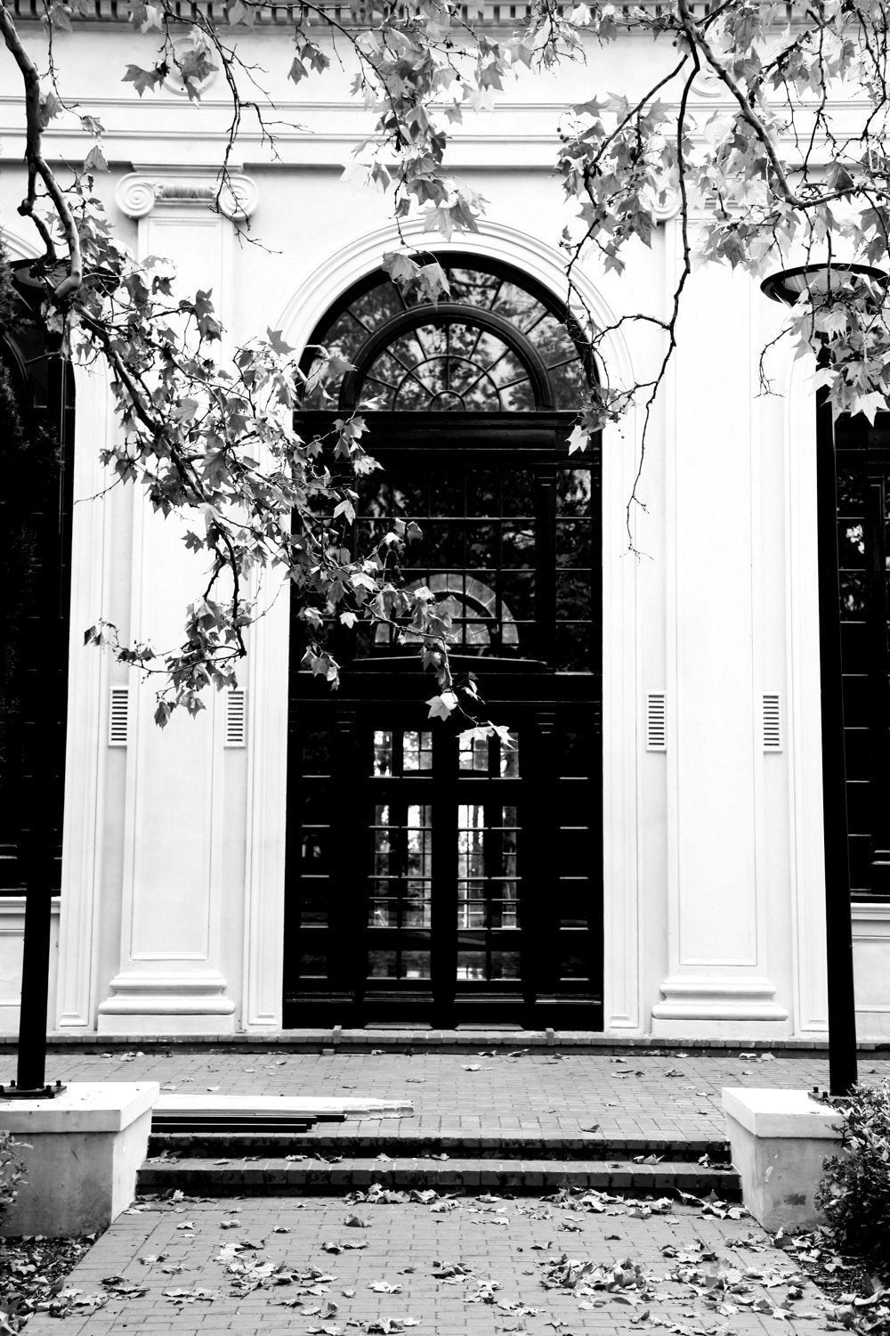 The Arch of Albert Hall • Black & White Canberra Photography Print