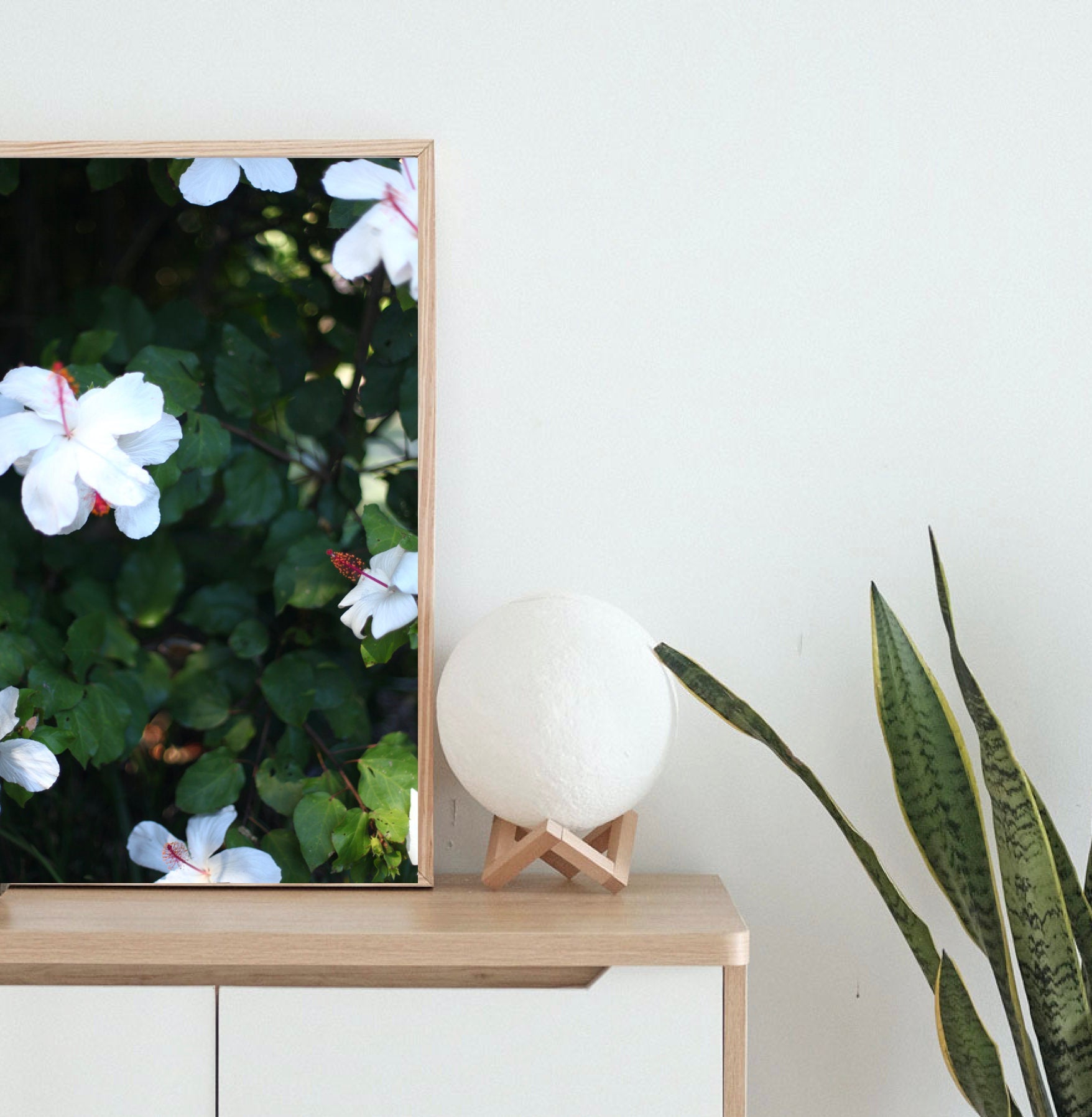 White Kauai Hibiscus • Photography Print