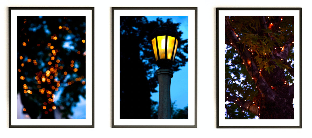 Canberra Twilight Streetlamp Stroll • Set of Three Photography Prints