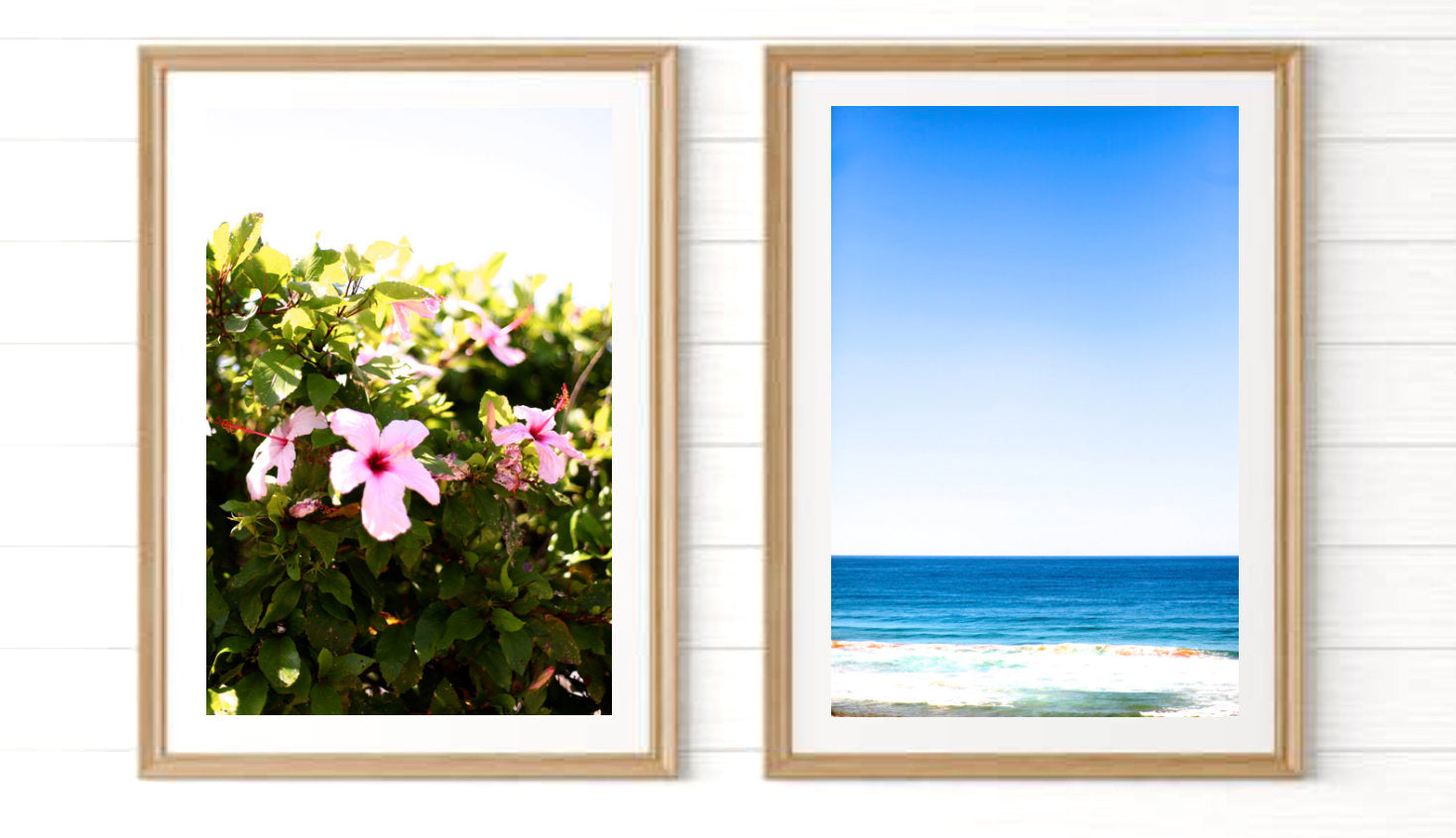 Summer on Whale Beach • Set of Two Northern Beaches Ocean Hibiscus Photography Prints