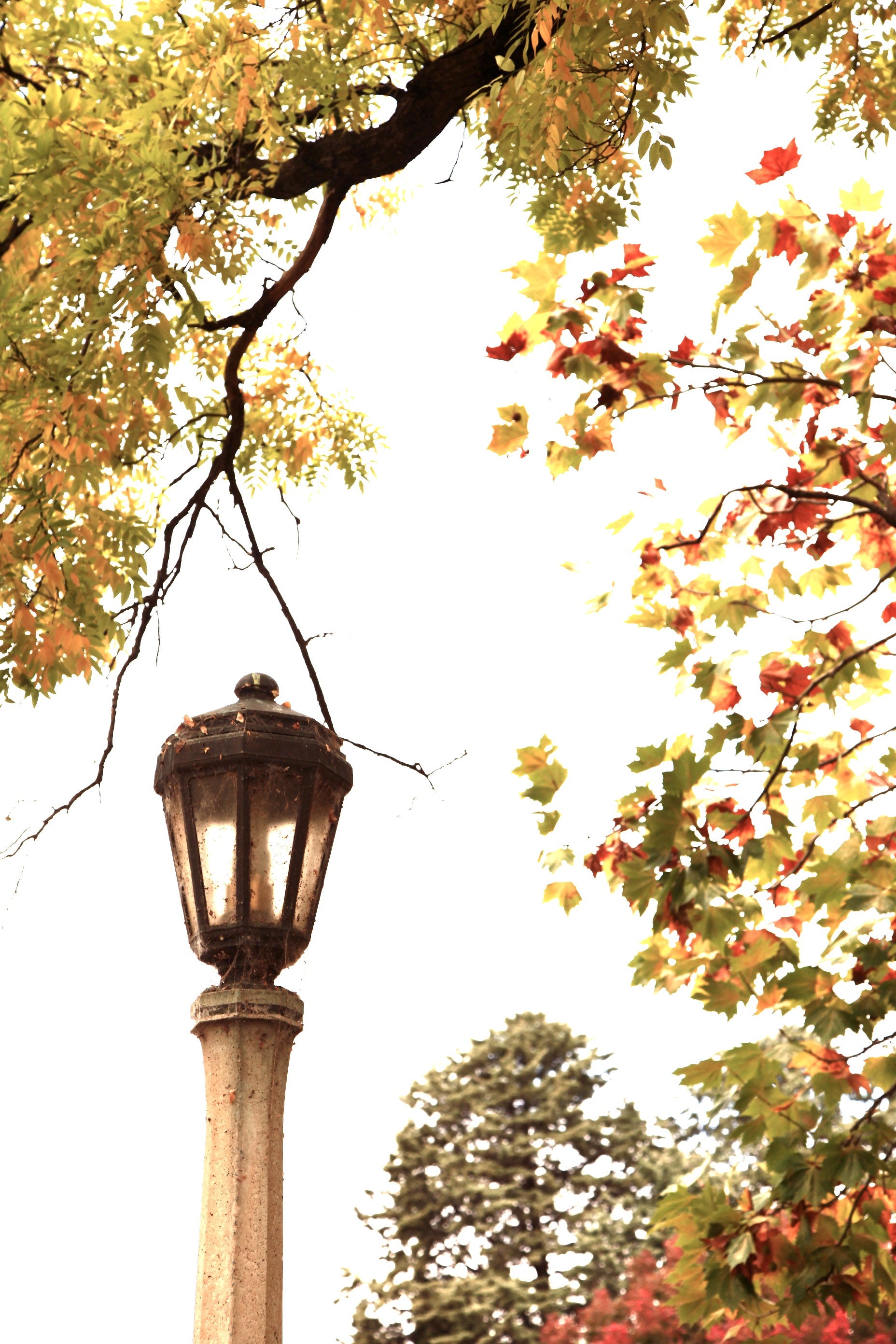 Autumn in the Capital • Set of Three Photography Prints