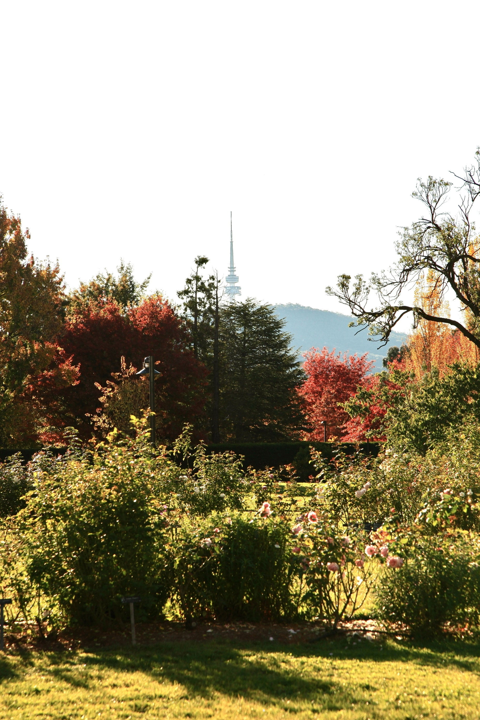 Autumn in the Capital • Set of Three Photography Prints