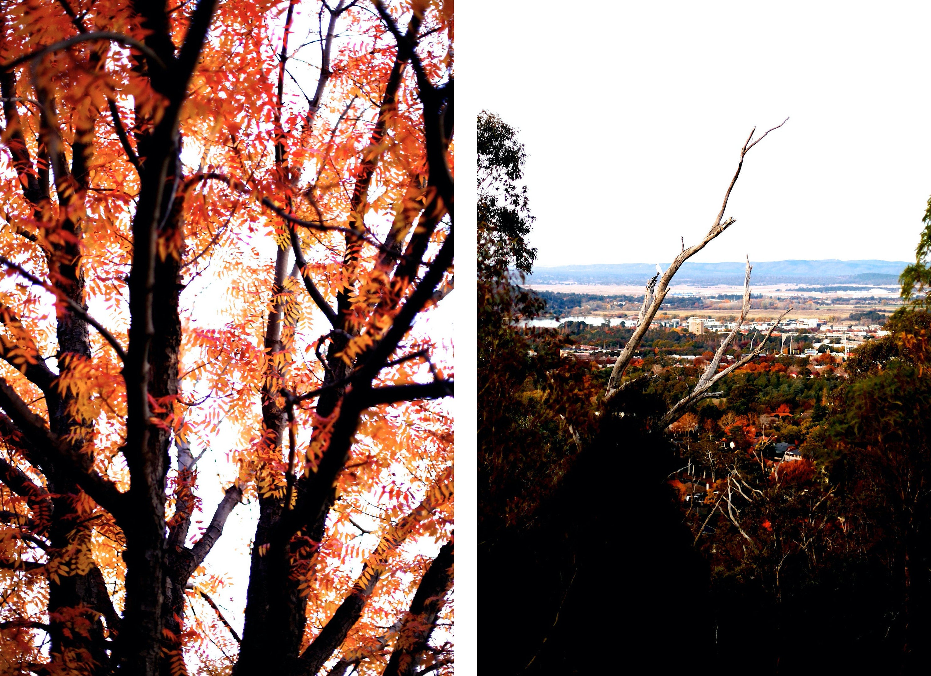 South to Majura • Set of Two Canberra Photography Prints