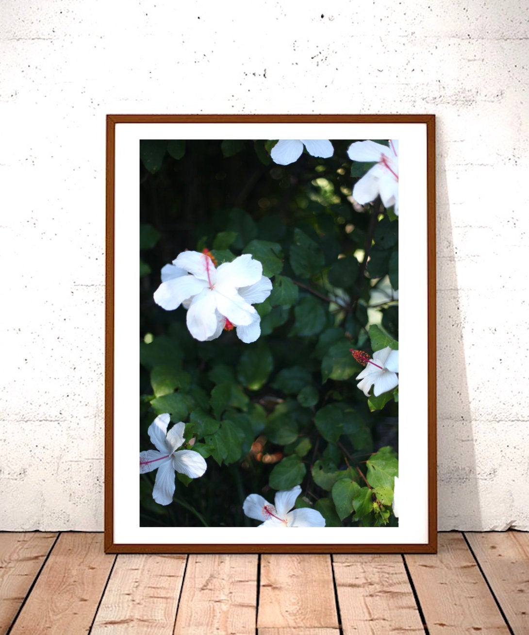 White Kauai Hibiscus • Photography Print